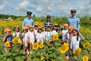 自分たちがまいた種で満開となったヒマワリに笑顔を見せる園児たち＝21日、平良東仲宗根添