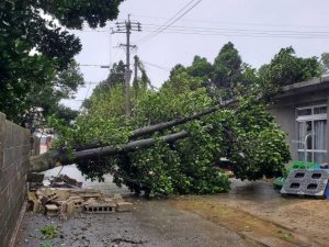 倒木で民家の壁も一緒に倒壊した＝３日、多良間塩川