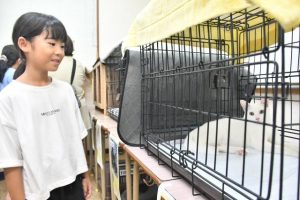 多くの親子連れらが参加して保護猫と触れ合った＝23日、尾沢塾