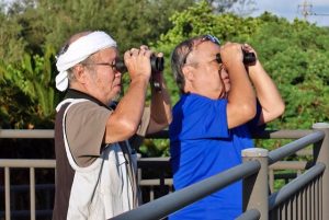 上空を通過するアカハラダカを確認する野鳥の会の会員＝10日、下地入江橋