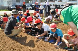 農作物学習でニンジンの種をまく児童たち＝11日、平良第一小学校