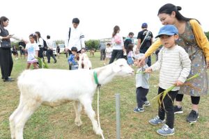 子ヤギとの触れ合いコーナーではオープン直後から多数の親子連れが訪れ餌を与えた＝25日、パイナガマ海空すこやか公園