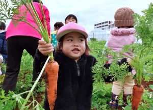 「みてみてきれいなニンジン」と喜ぶ園児たち＝24日、平良松原の「国仲さん家の農園」