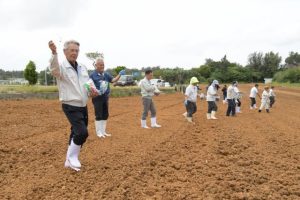 座喜味市長ら参加者が横一列になって緑肥用のひまわりの種をまいた＝２３日、平良東仲宗根添の畑