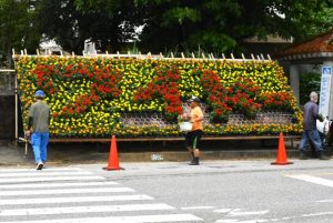 １３００本の花で「ワイドー」の文字を浮かび上がらせた＝９日、下地公民館前