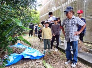 梅雨時期のツマグロゼミの発生に向けて、施設内の清掃と佐渡山さんによる勉強会が行われた＝１２日、上野新里のツマグロゼミ増殖施設