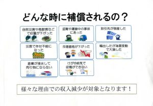 「収入保険」の補償対象