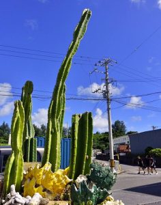 ２年ぶりの「猛暑日」となり、鏡原では強い日差しの下で暑そうに下校する児童生徒の姿が見られた＝１８日、鏡原