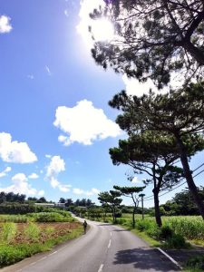 宮古島では連日高温が続き暑い7月となっている＝18日、市内