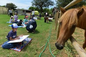 宮古馬を描く子どもたち＝10日、下地の宮古島熱帯果樹園「まいぱり」