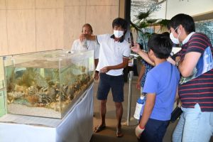 サンゴは水槽で育てた後、伊良部島に植え付けられる＝10日、ヒルトン沖縄宮古島リゾート