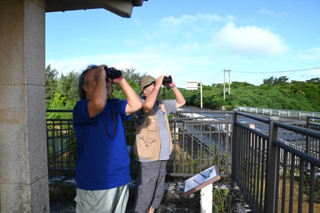 飛去数調査始まる／宮古野鳥の会