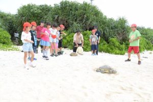 海に向かうウミガメを子どもたちが励ました＝８日、平良狩俣