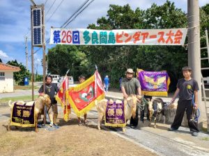 ３階級で熱戦を制したヤギたち＝13日、村多目的広場