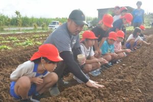 ＪＡおきなわ青壮年部上野支部のメンバーが児童たちに植え付け方法を指導した＝26日、上野新里の畑