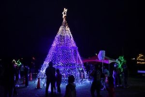 イルミネーションが点灯され一足早くクリスマスの雰囲気を盛り上げた＝21日、パイナガマ海空すこやか公園