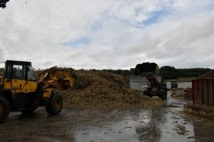 操業開始から１カ月が経過した宮古製糖城辺工場＝10日、城辺砂川