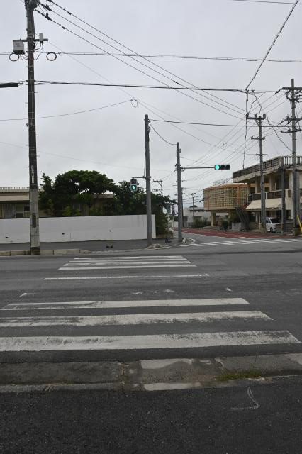 横断歩道で男子小学生と接触／平良久貝